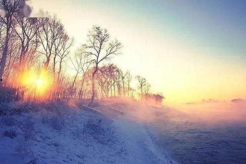 冬日暖阳,温暖心灵的诗意时光